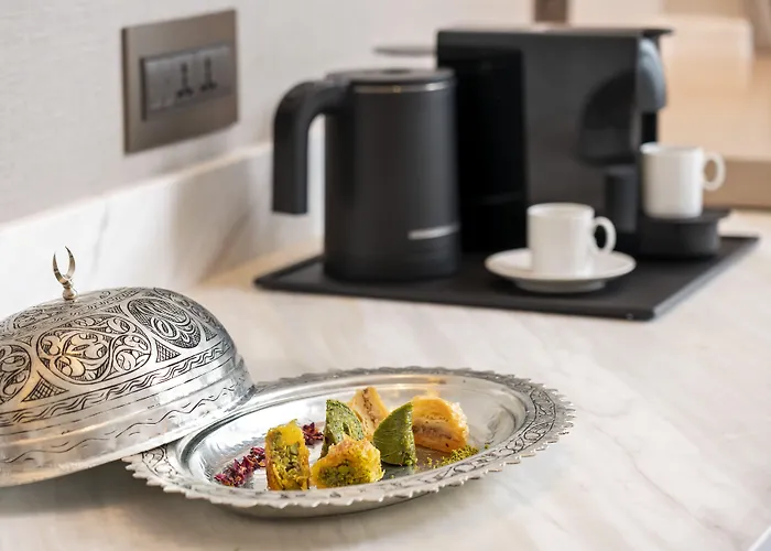 伊斯坦布尔地标酒店 酒店